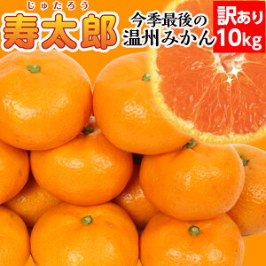 y\񔭑1{`zY󂠂 10kg y(kC770~Es)zY݂y󂠂݂z~HEƉu̓Abv r^~Cʕ Éuh݂ 󂠂݂ 