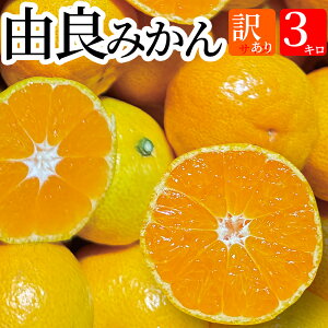 y\ 10{zRǂ݂ 󂠂s 3kgy(kC770~Es)z瑁݂ L 3kg ݂_ƒy󂠂zÉuh݂ Y݂ 󂠂~J