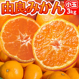 y\ 10{zRǂ݂  3kgy(kC770~Es)z瑁݂  ݂_ƒyp݂zÉuh݂ Y݂ yΕ~