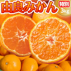 y\ 10{zRǂ݂ ʕi3kgy(kC770~Es)z瑁݂ p ݂_ƒyp݂zÉuh݂ Y݂ yΕ~