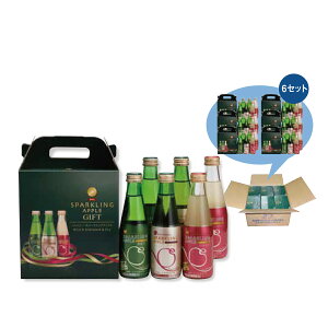 񂲃W[X X Xp[NOAbv Mtg SP-B 200ml×6{Zbg×6 ʏ`100 Y_ mAR[