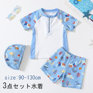 LbY  j̎q [g   xr[ j qp ㉺Zbg ǂ bVK[h xr[ XN[ XCEFA ct ۈ牀 V[gpc V  Lb