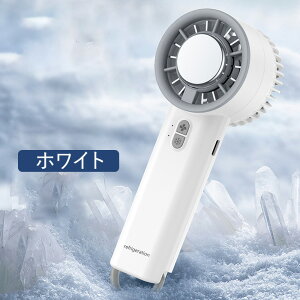 nfBt@ pv[g 2025 啗 gѐ@ -20p y uԗp N[[ 莝 @ nfB@ ~j@ [dR[hX type-C[d p\R ʋ ItB