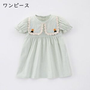 xr[ p[X s[X o t  _炩 q  ʉ ʊw i Ԃ qǂ vZg a 66 73 80 90 100 Jo[I[  t   킢 oY