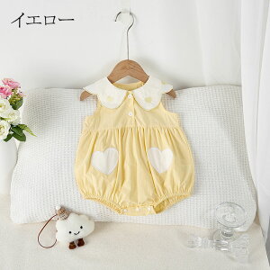 xr[ p[X o t  _炩 q  ʉ ʊw i Ԃ qǂ vZg a 66 73 80 90 100 Jo[I[  t   킢 oYj Vv