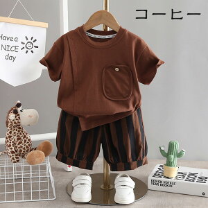 uvxr[ j̎q 80-120cm   xr[ 2_Zbg ㉺Zbg Y{ LbY  ZbgAbv Ԃ oYj a LOBe v[g   w ۈ牀 