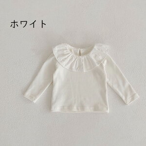 u[v̎q  xr[ qǂ oYj Be LO ԕ ̎q 킢 ĕ Ԃ ʉ ct Rbg zCg 66 73 80 90 _炩 gbvX Vc