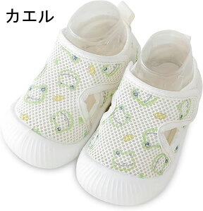 xr[ t@[XgV[Y Ԃ 킢 ʋC y ̎q j̎q  C bV EH[^[V[Y _炩  xr[ AEghA ܐی  ₷ oYj 