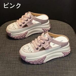 Xj[J[ fB[X  r fB[XV[Y KȌC V[Y gȐ󗚂XbvI Xb| ₷ ~ ʋ ʊw tďH EH[LO ₷ 