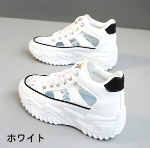 Xj[J[ fB[X  r fB[XV[Y KȌC V[Y gȐ󗚂XbvI Xb| ₷ ʋ ʊw tďH EH[LO ₷ ɂ