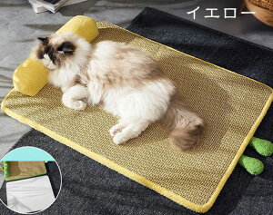 L ܂Ƃ 􂦂 ϋv Lp ܖ ˂ Q   }bg ϋv tȒP Lp ybgpi ΍ VRf ڐG⊴  xbh 3TCY 2colors  L Ђ ybgxb