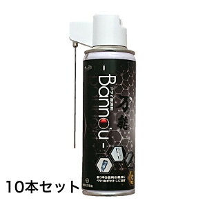 10�{�Z�b�g �t�b�f�n �h���C������ Banno'u ���\ �o���m�E 200ml Bannou