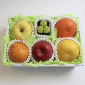 t[cMtg É̃t[cXVVI ʕI6 y  2 VC}XJbg 3 k 3z ʕMtg 蕨 Mtg 䋟  䌩 a j j l