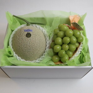 t[cMtg É̃t[cXVVI }XN  VC}XJbg y}XN1ʂƃVC}XJbg1[z ʕMtg 蕨 Mtg 䋟  䌩 a