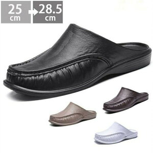 T_ T{ Y amp rWlX ItBX Xbp  JWA  ʋ O RtH[g