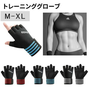 Egg[jOO[u }h~ ؃g[u W _x x`vX   Y ؃g p[Obv EFCgg[jO ͕⏕ X|[c ی O[u