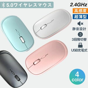 yN[|ő1000~OFFzUSB[d CX}EX  w x t[݌v É USB[d  y ^ PC}EX 2.4G lR|Xt X[v[h ECO sN ~