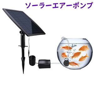 \[[GA[|v GA|v \[[ z[dGA|v GA`[u GAXg[ t 2.5Wzpl e퐅̎_f r/ANAE/^N _J̃GA[[