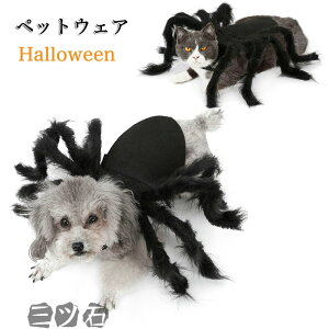 yN[|ő1000~OFFzybg  nEB  N ybgObY ybgp p m RXv || hbOEFA lR hbO EGA RX`[ NX}X ߑ  p 