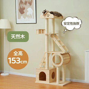 Lbg^[ ؐ u^ 153cm VR ܂Ƃ ^s lR^[  芴  ^[  ^L qL VjAL  ybgpi L^[LnEX B
