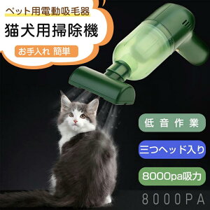 8000paz ыʎ 3wbh ybg̖ё|@ ƒp xbh J[ybg ԗp ̔т ю  zR   ybgpi ybgpdzъ Lp|