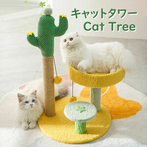 ylCizL @\Lbg^[ ܂Ƃ lC T{e Wv lR ܂Ƃ|[ ܌ ܂݂ Lbgc[ Lpi ybgp  ыʕt  v[g Mt