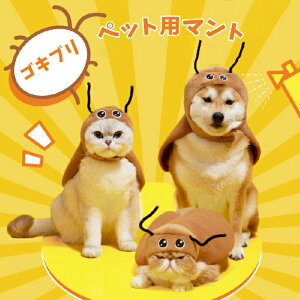 yViׁznEB RXvߑ ybg }g SLu Ԃނ |` 蕨 ʔ RX`[ Xq  L RXv ybg L ^p ϐgObY ybg nE