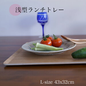 ySALLyXoU[z43cm^g[ mXbvH@~߁@`}bg@ؐ܂~@Ƒ傫߂̖~TCY 43x32x1cm
