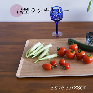 �ySALL�y�X�o�U�[���z36cm��^�g���[ �m���X���b�v���H�@����~�߁@�����`�����}�b�g�@�ؐ��܂�~�@������Ƒ傫���߂̖~�T�C�Y 36x28x1cm