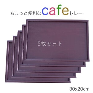 yyXJtF g[z 5Zbgؐ10.0~ F@30x20cm WXgTCY̖kg[/VRfނ̉
