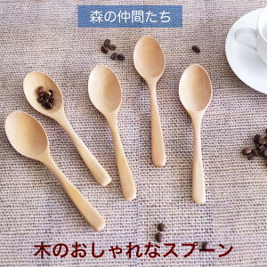 ySALEyXoU[z X[vXv[5qZbg AS44-T@ؐ X  tH[N Jg[ȃJg[ TCY@18.5cm