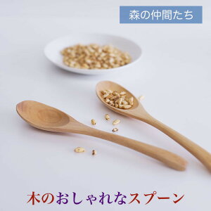  33-1TJ[@ؐ Jg[ Xv[ tH[N iCt QTCY@20cm