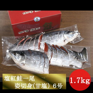 gpؐg(É)  ؐg Mtg  Ε 蕨