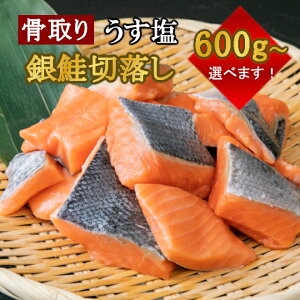   ؗ() 600g×Iׂ  TP  }s