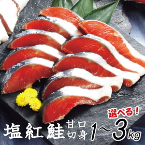 艖 g VAY ؐg Ì o Iׂe 1kg`3kg ȈՕ  TP VP     Ⓚ }s {錧