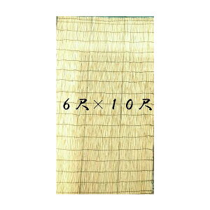 Ăi悵j@6×10ځ@4Zbg@y@lEl͒ӎz