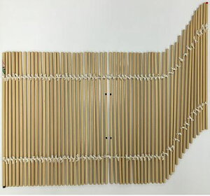 싞ʂ@Ђ56{ 莝iʓIȋʂj