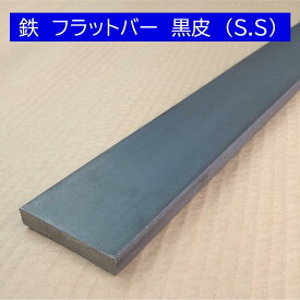 鉄 フラットバー 黒皮 (SS) 22mmx100mmx長さ1000mm オーダーカット無料 スチール SS400 DIY 寸法調整
