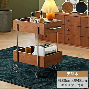 S TChS Lb`S LX^[t TChe[u lp^ ؐ 2i [bN Lb`S X uE ubN ItBX e[N 33×48cm rO Lb` 