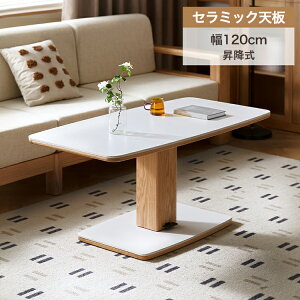 Z~bN [e[u ~ 120cm ~fXN Z^[e[u teBOe[u tgAbv ؐe[u 嗝Ε  RpNg  rO JtF R[q[e[u 