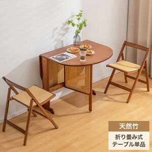 折りたたみテーブル 楕円」の人気商品一覧・価格比較 - 価格.com
