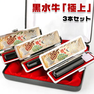 3{Zbg   s F j q ͂ q 10Nۏ Ӎ쐬 O Mtg wAEj ̓ 3{Zbg {s{F σP[X[lӃP[X