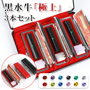    j s F A^t 3{Zbg q ͂񂱖O q 10Nۏ v[g LOi Mtg j{s{F 3{Zbg σP[X[ӃP