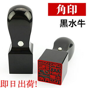 y o   ͂ 񂩂 @l  @lp Ј Д i E 搶 Аݗ  Ј Д  p 18.0mm~24.0mm ܑt z