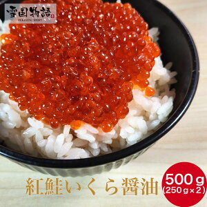  gݖ500gi250g×2jCN    TP  CN  R 芪 i 炵 ikura Mtg 񂹃O Hi ߂
