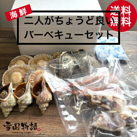 【期間限定！ポイント5倍】海鮮バーベキューセット 二人用 BBQ bbq バーべキュー 北海道産 ほたて かき つぶ いか えび