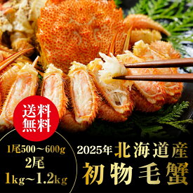 2025年初物 毛蟹 毛ガニ 1kg〜1.2kg（1尾500〜600g×2杯） けがに 毛ガニ 蟹 カニ 蟹みそ かに味噌 かに足　送料無料 甲羅焼き カニ飯 甲羅酒 カニ鍋 焼きガニ ギフト お取り寄せグルメ お取り寄せ 贈り物 贈答