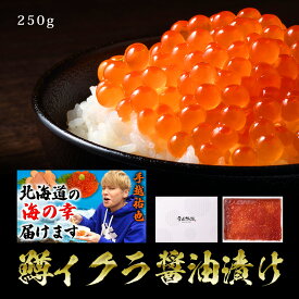 手越裕也さん紹介絶賛！鱒いくら醤油漬け 250g 大粒 鱒イクラ イクラ 醤油いくら 醤油イクラ グルメ いくら醤油漬け マスイクラ 最高級 高級 北海道 海鮮 ギフト お取り寄せグルメ 贈り物 贈答 食品 食べ物 寿司 いくら丼 イクラ丼