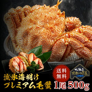 北海道産 流氷海明けプレミアム毛蟹 500g の一級品 ケガニ けがに かに カニ 蟹 毛蟹 け蟹 ケ蟹 お刺身 甲羅焼き カニ飯 甲羅酒 カニ鍋 焼きガニ ギフト お取り寄せグルメ お取り寄せ 贈り物