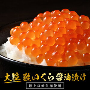  傤Ђ 500g kC  CN ݖ ݖCN O ݖЂ VPCN ō  CN т̂ ̗͂F Mtg 񂹃O 蕨 